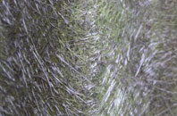 Edgcote fibreglass roof work